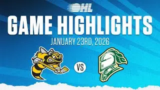 OHL Highlights: Sarnia Sting @ London Knights Jan. 23, 2026