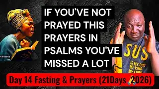 The Most Powerful & Effective PRAYERS From The PSALMS
