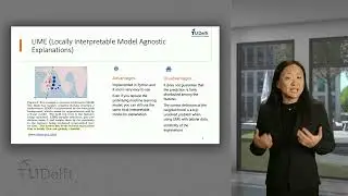 Explainable AI for Credit Scoring - Advanced Credit Risk Management Course (Sample Video)