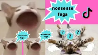Cat Mouth Noise - Pop Cat - Cat Memes🔥