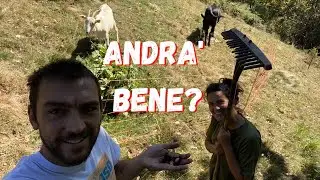 Siamo veramente in ritardo nei castagneti! - Ep. 408 - Vita in Montagna