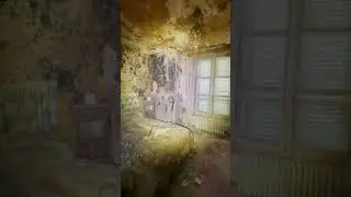 The Abandoned Mold House ⚠️ #shorts#youtubeshorts