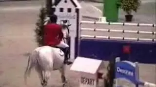 Haras nationaux