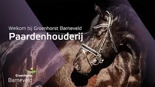 Paardenhouderij - Groenhorst Barneveld