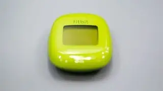 How Big Can Fitbit Get?