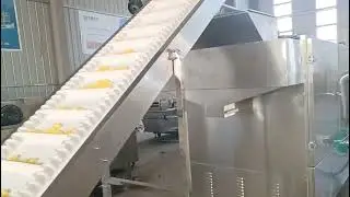 corn curl production line video