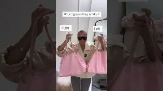 Which goyard bag is fake? #goyard #fake #youtubeshorts