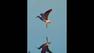 Rare Photos Compilation 