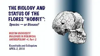 Boston University Dialogues in Biological Anthropology: The Flores Island &ldquo;Hobbit&rdquo; &mdash; Part 2