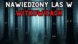 Nawiedzony Las w Witkowicach - Aktywność Paranormalna