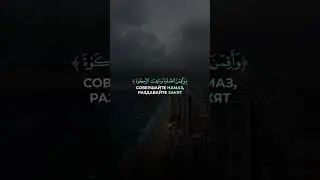 Сура Аль-Ахзаб аят 33 | Чтец: Мухаммад Аль Люхайдан