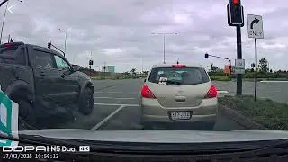 Pet Dogs Leap Out Of Moving Car