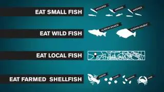 Saving the Oceans by Eating Sustainable Seafood