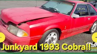 БЕЗУМНЫЙ счёт на свалке 1993 Mustang Cobra!!