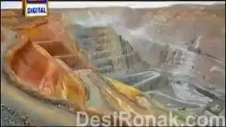 Gold hestrye