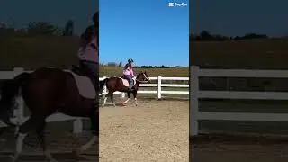 Mini vlog today or tomorrow #horse #equestrian #horseriding #pony #shorts #capcut #fyp #painthorse