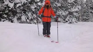 The Teton Shuffle - Lynsey Dyer's G3 University Ski Tips
