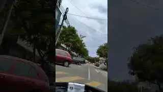 desde risso, julio c.tello hasta garcilaso de la vega, lince