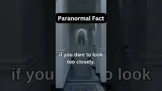 Paranormal Fact - Mirrors are Portals! #mirrors #ghosts #portal #shorts #facts #paranormal