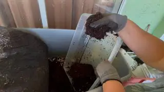 A Worm Wrangler Fairytale: Bins AND Totes Make a Happy Ending