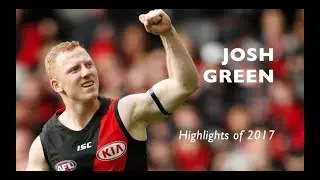 Josh Green Highlights of 2017