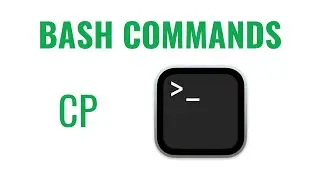 Bash Commands - cp command