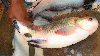 Worth Watching Rohu Fish Cutting Skills By A Bangladeshi Fisherman