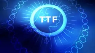 TTF: Nederland succesvol in Europese gashandel