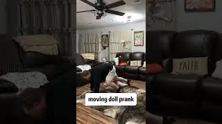 Moving doll prank #youtube #doll #moving #prank #youtubeshorts