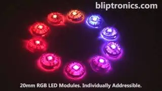 RGB LED Modules bliptronics.com