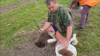 How to Plant Grapevines in Organic Vineyard, New Zealand Wines