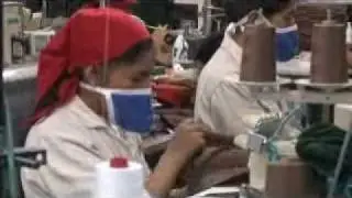 Mi Primer Empleo Digno 1/2