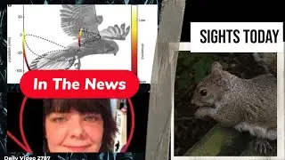 Drone Flight Bird Stability, RCMP Arrest For Racially Offensive Posts, Drone Explosion