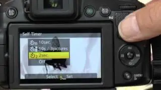 Focus Stacking Tutorial for the Panasonic FZ200 and Raynox Close Up Lenses