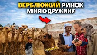 Вбили двох зайців у Каїрі.Рибний і верблюжий ринки в Каїрі.