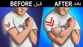 عضلة البايسبس التشريح العلمي-أسرار تضخيم وتقوية عضلة البايسبس-biceps workout