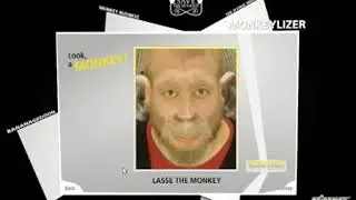 savethemonkeys net