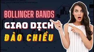 ✅  C&aacute;ch Giao Dịch Đảo Chiều Cực Kỳ Hiệu Quả Với Bollinger Bands | TraderViet