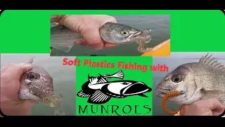 Soft Plastics Fishing with Munroes