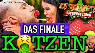 FINALE! EKEL-ESSEN-PRÜFUNG! Filip, Lucas Cordalis & Harald Glööckler im Dschungelcamp! IBES 2021