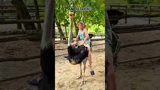 Этот человек нарушил законы физики, управляя бегущей лошадью 😳🐎