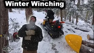 Переносная лебедка вытаскивает замерзшие деревья из глухого леса.