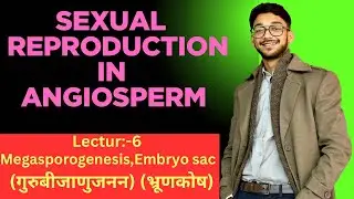 Sexual Reproduction in Angiosperm | Cell to soul #bio#Reproduction