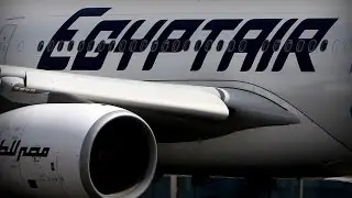 Dramatic movements in final moments of EgyptAir jet's flight