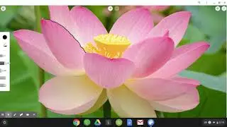 How to Use Chrome Canvas