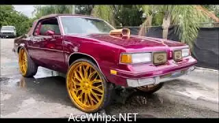 AceWhips.NET- Spike's Candy Purple Oldsmobile Cutlass Vert on Gold 28