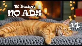 12 Hours UNINTERRUPTED of Cat Sleep Music 🌙 Deep Sleep Piano Music for Cat Home Alone