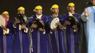 احيدوس الصفاصيف في مدينة ولماس 2024
