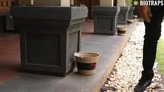 Protect your Hotels & Restaurants from Mosquitoes