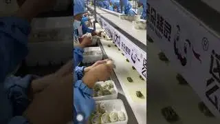 The working speed of Chinese workers is very fast